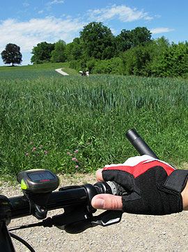 hand-on-bike-handle
